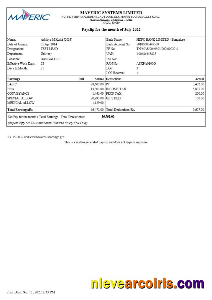 Maveric Systems engineering company payslip